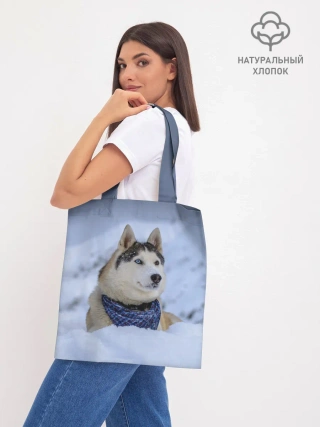 Шоппер база / Хаски