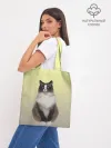 Шоппер база / персидская пушистая кошка