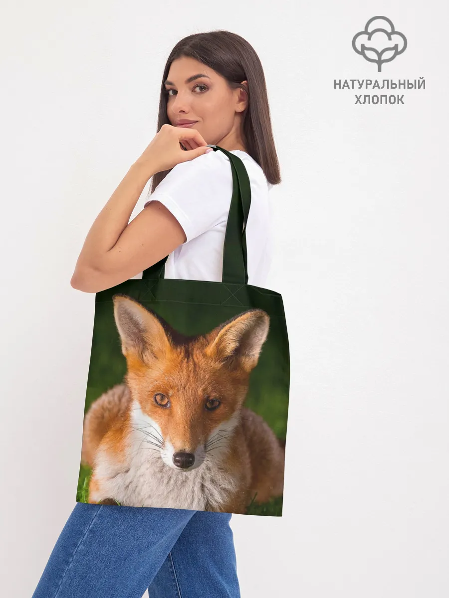 Шоппер база / Лисица