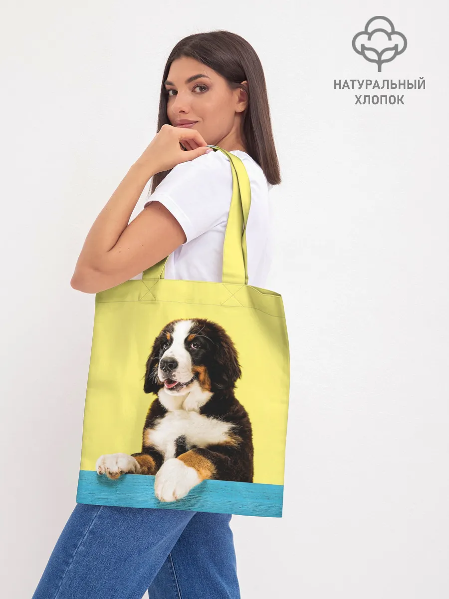 Шоппер база / Бернский зенненхунд, Berner Sennenhund