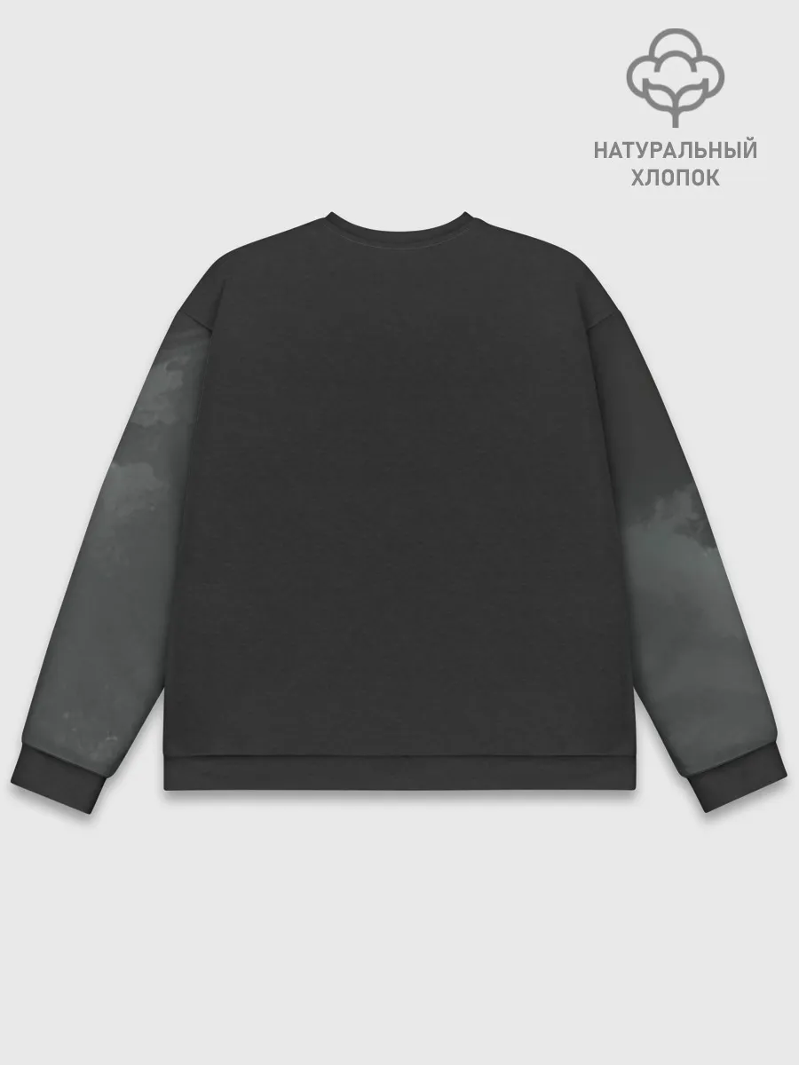 Мужской свитшот база хлопок / Лошадь угли