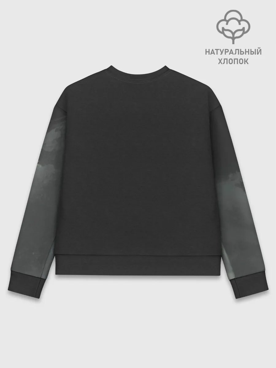 Женский свитшот базовый хлопок / Лошадь угли