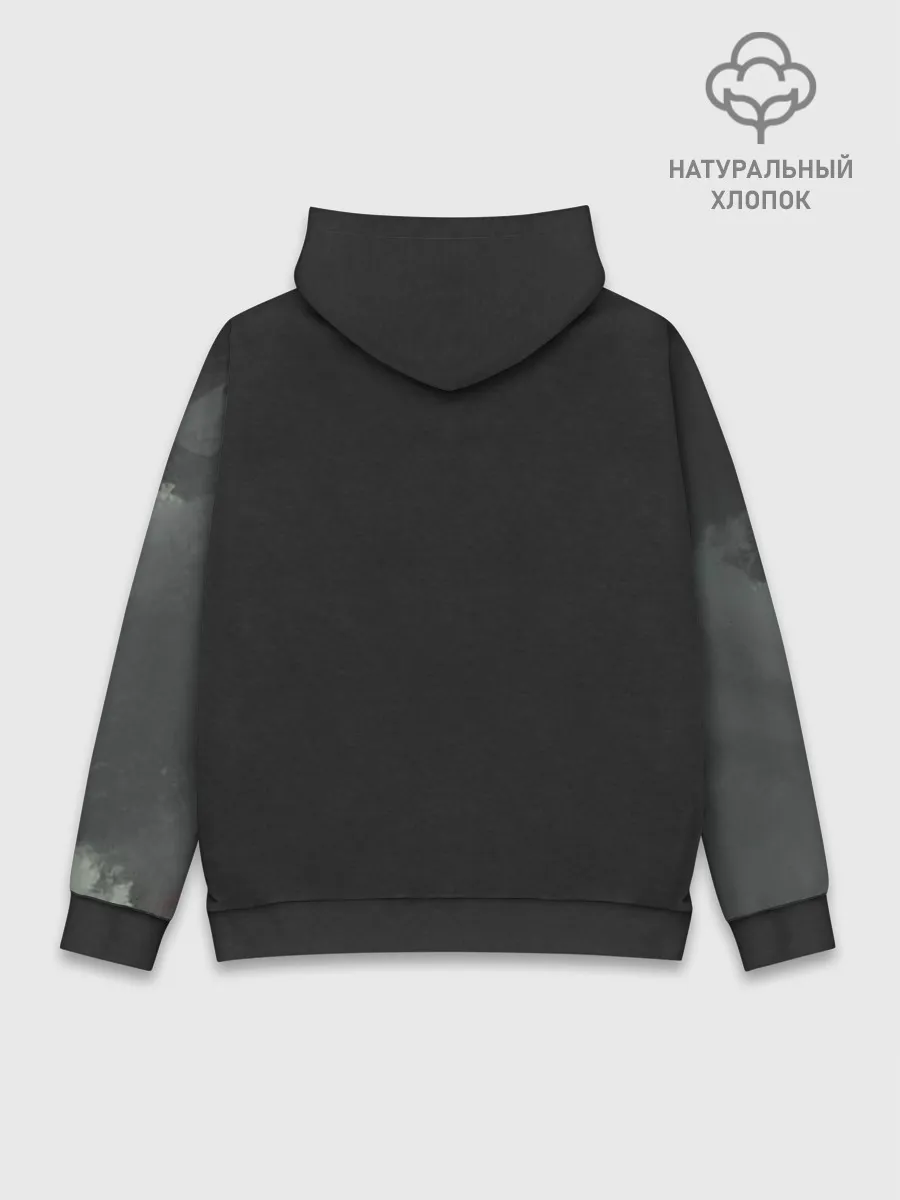 Худи мужской база хлопок / Лошадь угли