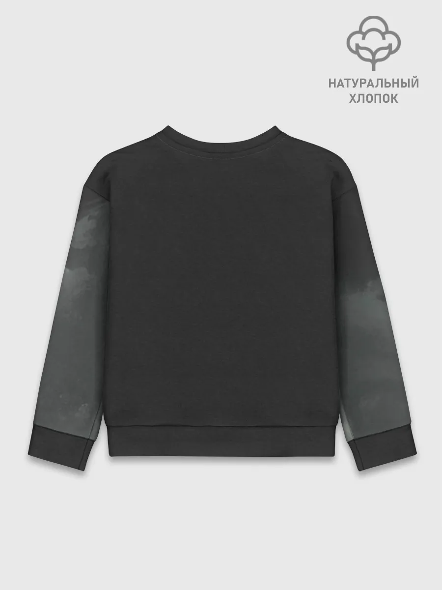 Детский свитшот хлопок / Лошадь угли