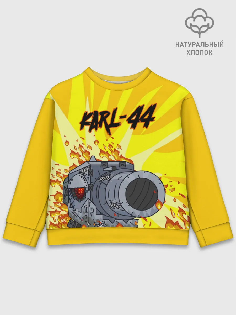Детский свитшот хлопок / Карл 44