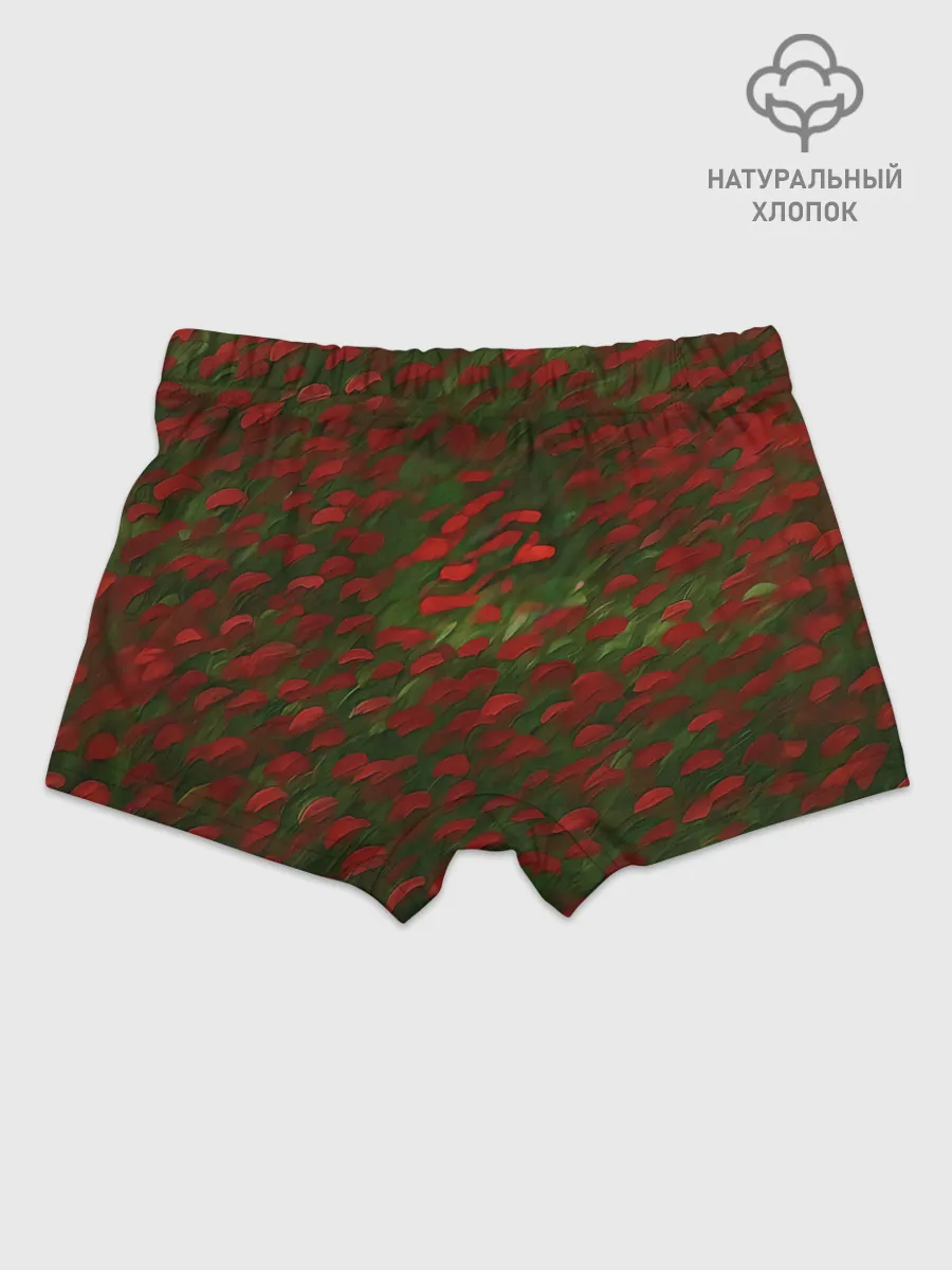 Мальчиковые трусы / CatRedGreen