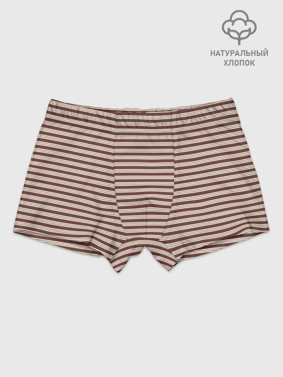 Мальчиковые трусы / Полоска Retro_brown