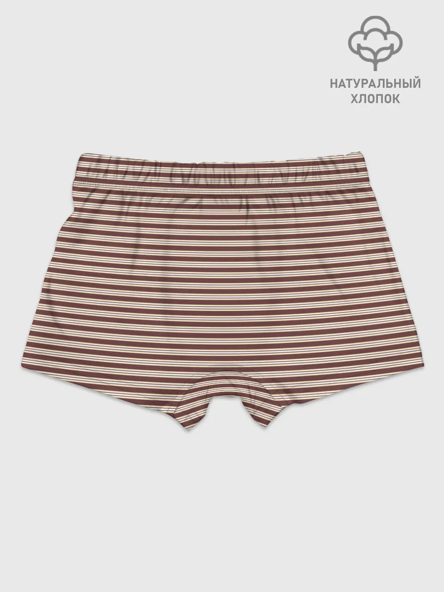 Мальчиковые трусы / Полоска Retro_brown