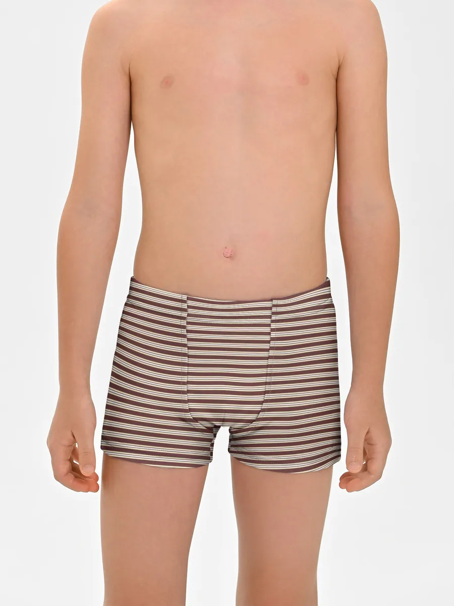 Мальчиковые трусы / Полоска Retro_brown