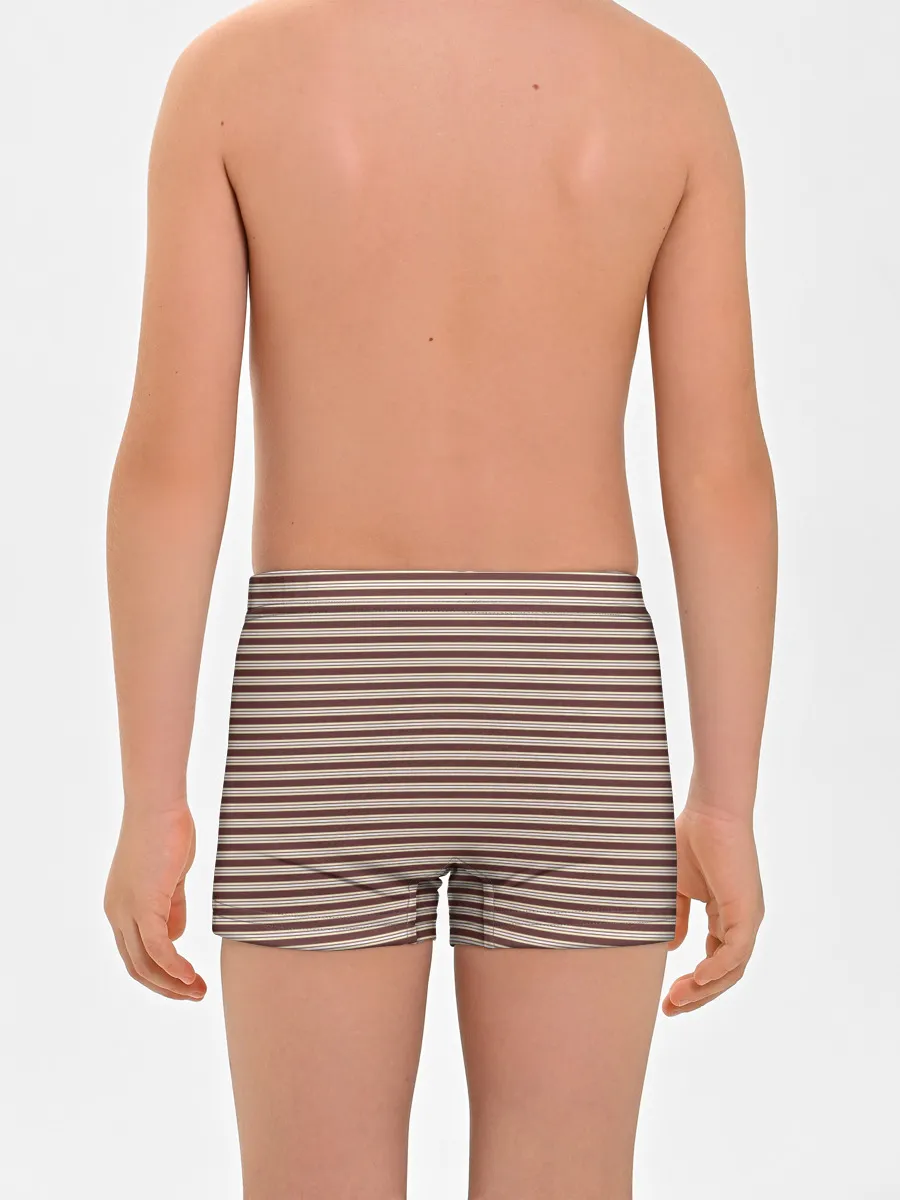 Мальчиковые трусы / Полоска Retro_brown
