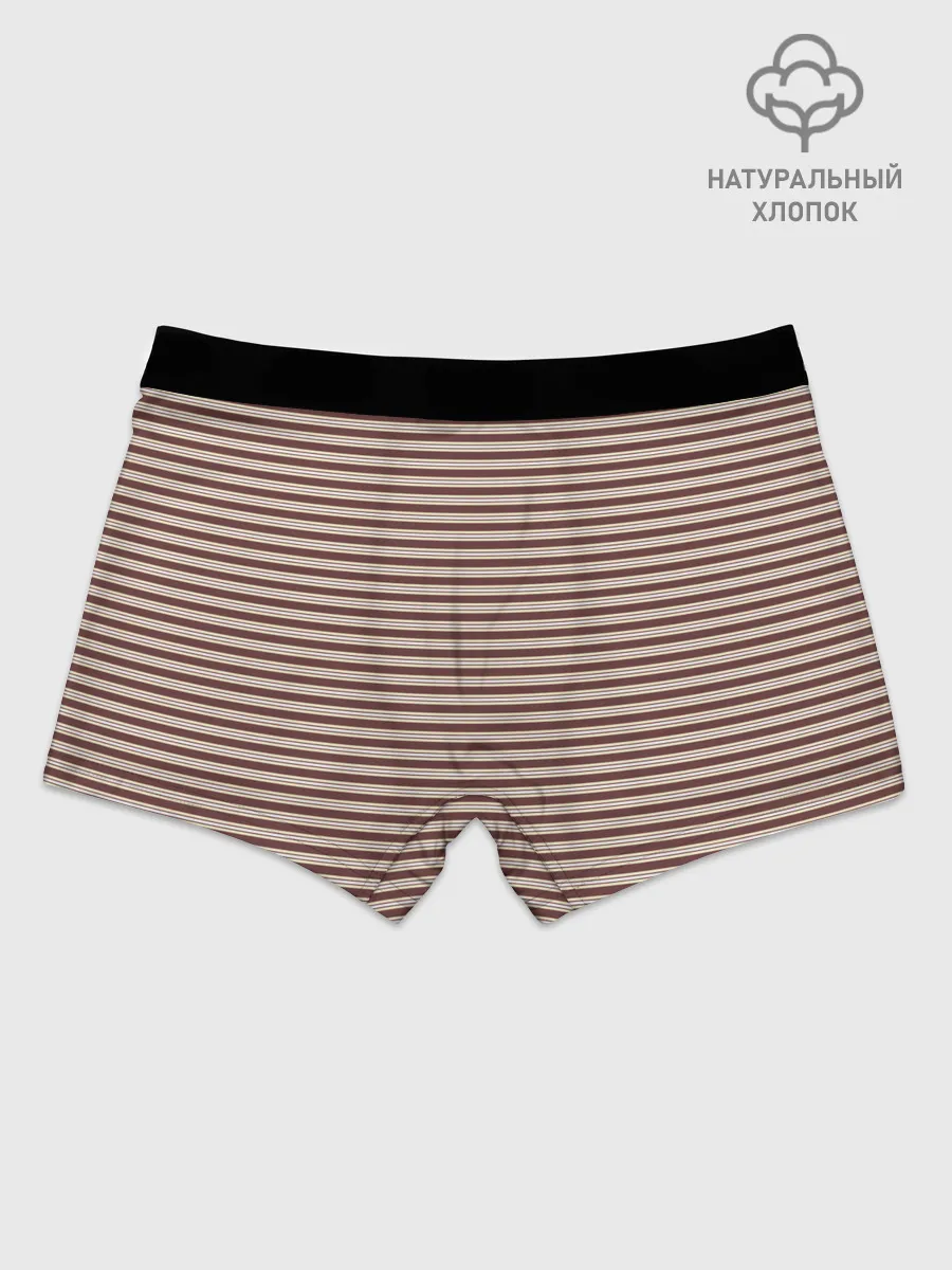 Мужские боксеры / Полоска Retro_brown