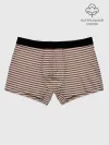 Мужские боксеры / Полоска Retro_brown