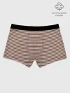 Мужские боксеры / Полоска Retro_brown