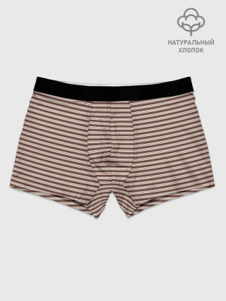 Мужские боксеры / Полоска Ретро brown