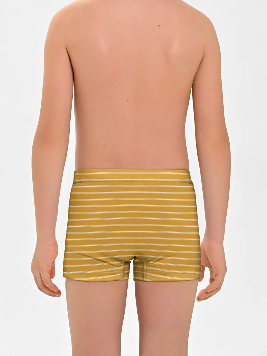 Мальчиковые трусы / Полоска Ретро жёлтая