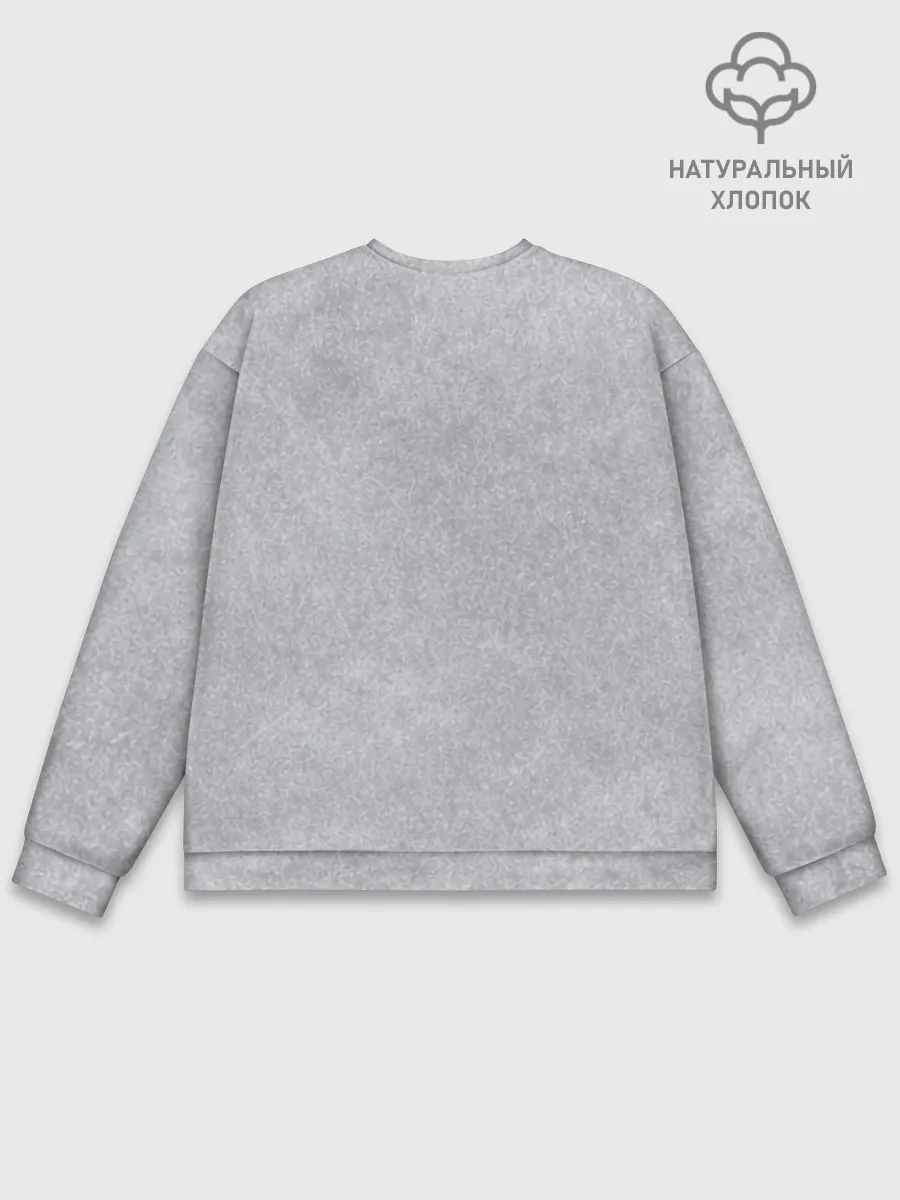 Мужской свитшот база хлопок / Берегите меня