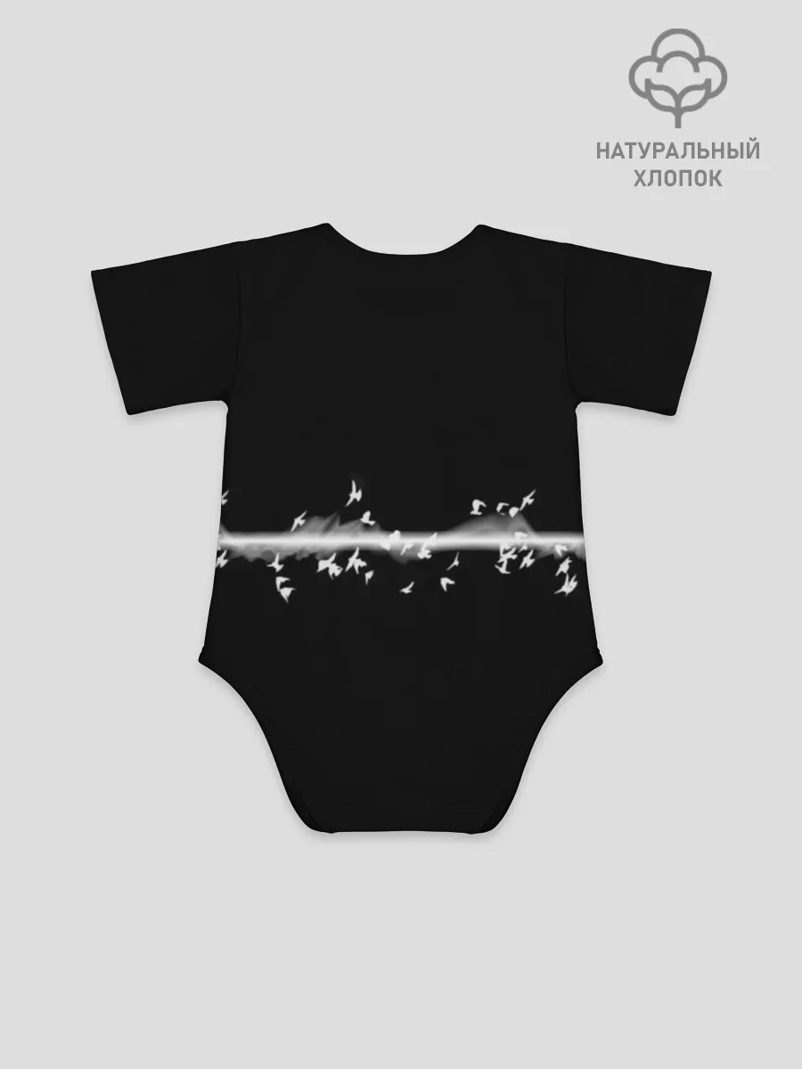 Детское боди / Pink Floyd