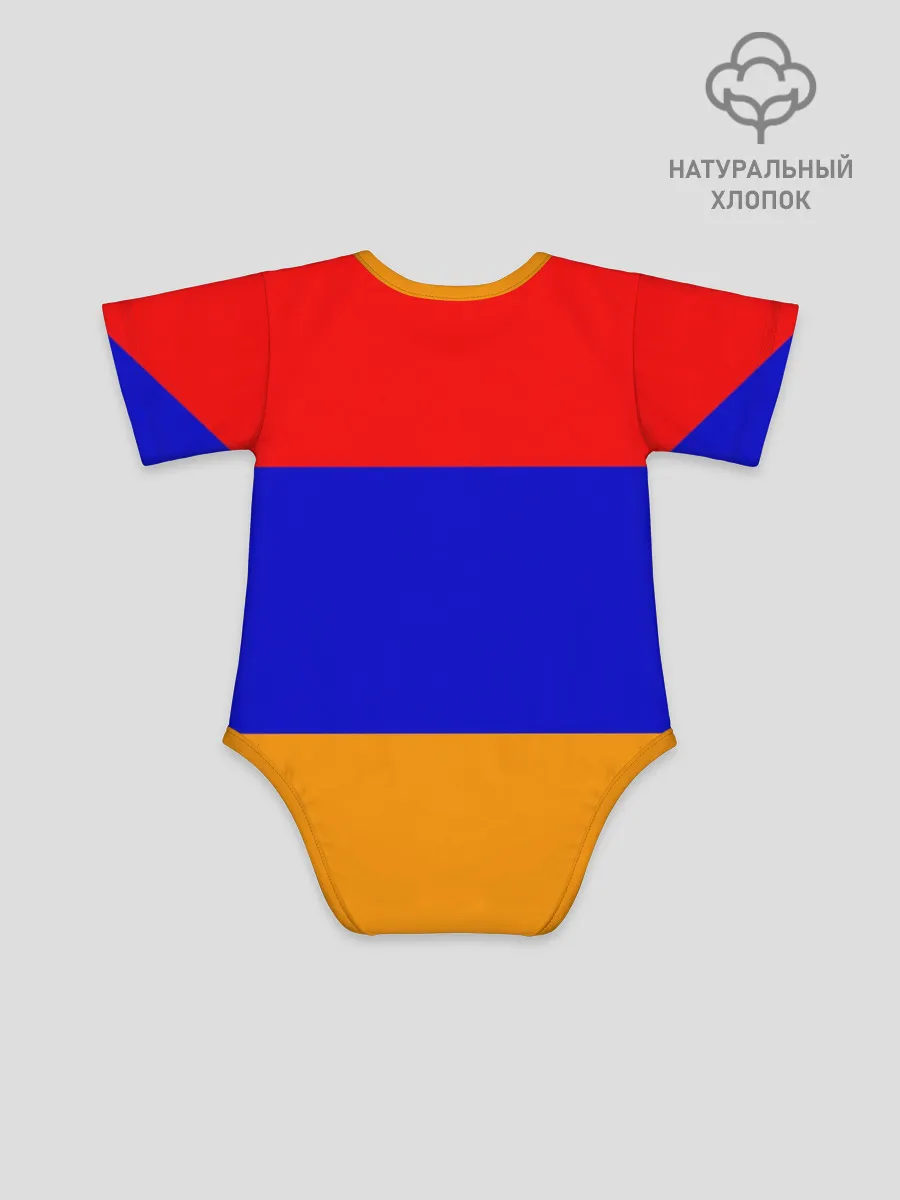 Детское боди / Герб и флаг Армении