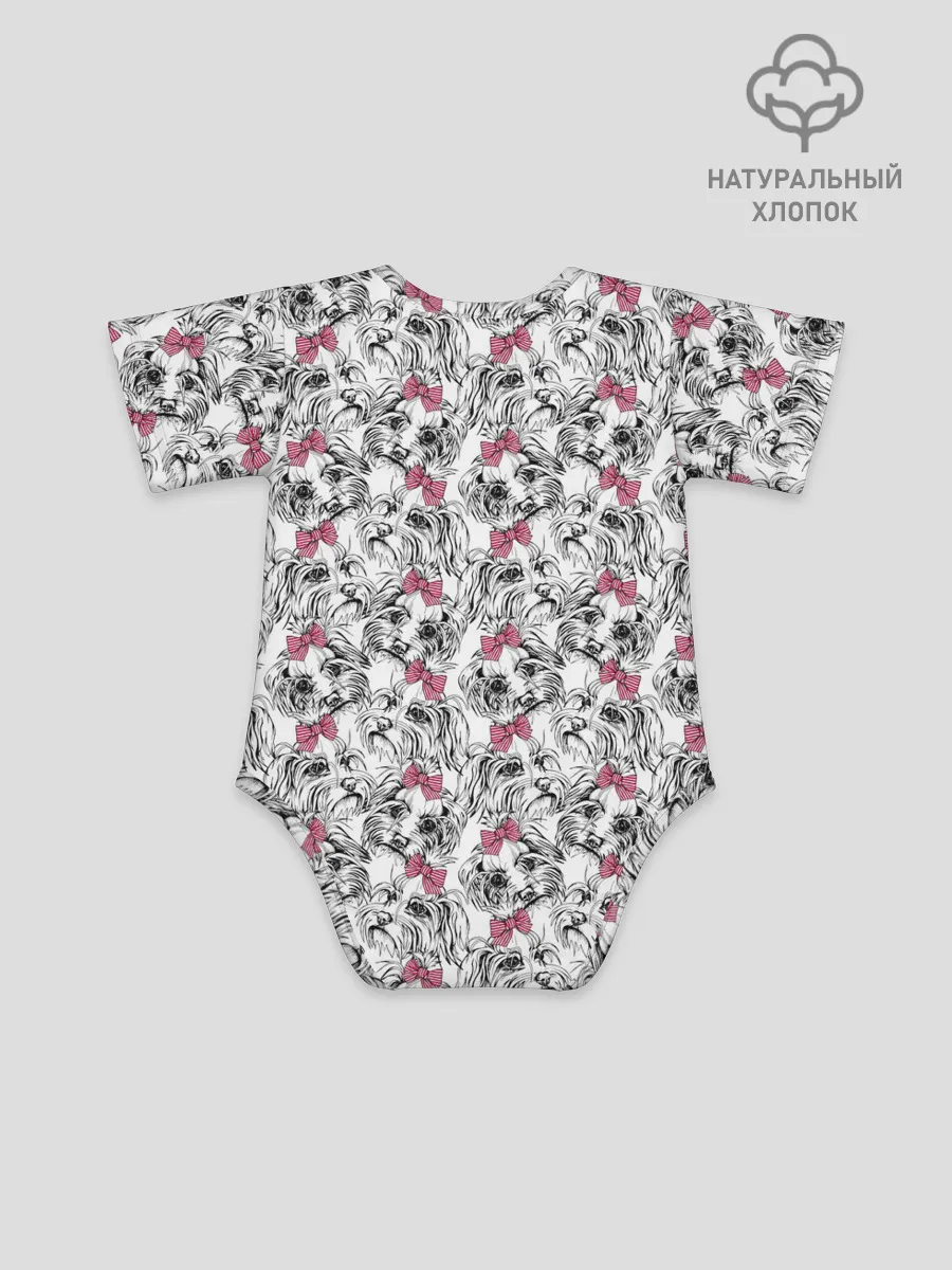 Детское боди / Мальтийская Болонка