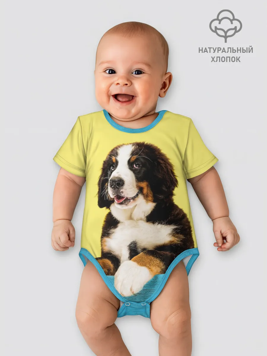 Детское боди / Бернский зенненхунд, Berner Sennenhund