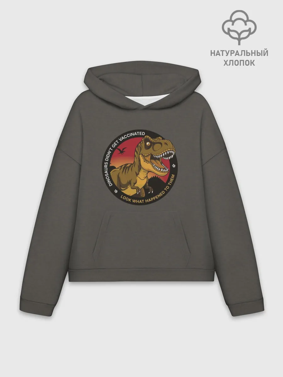 Худи женский оверсайз хлопок / Динозавры не делали прививки 4 (английский)