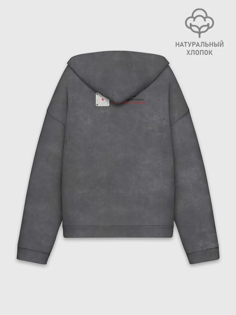 Худи женский оверсайз хлопок / Динозавры_3D_русский