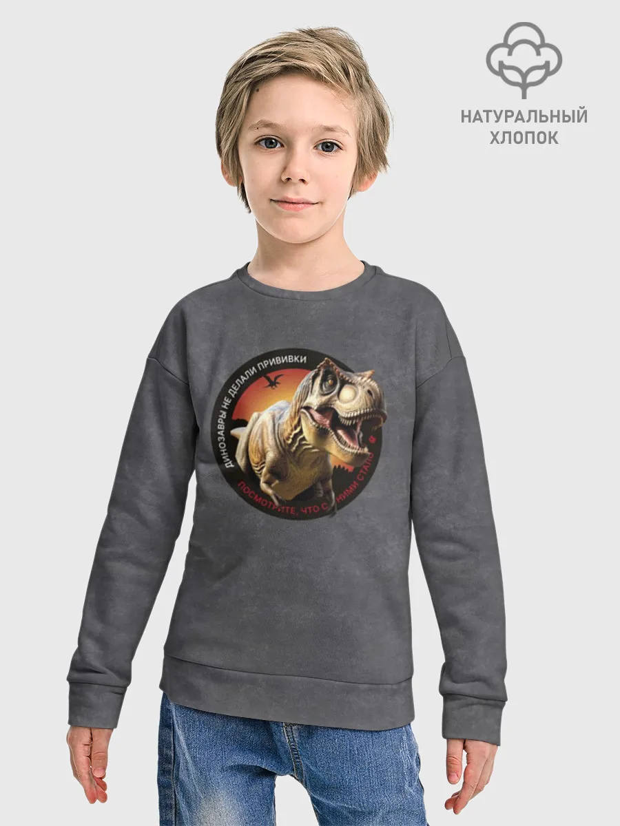 Детский свитшот хлопок / Динозавры_3D_русский