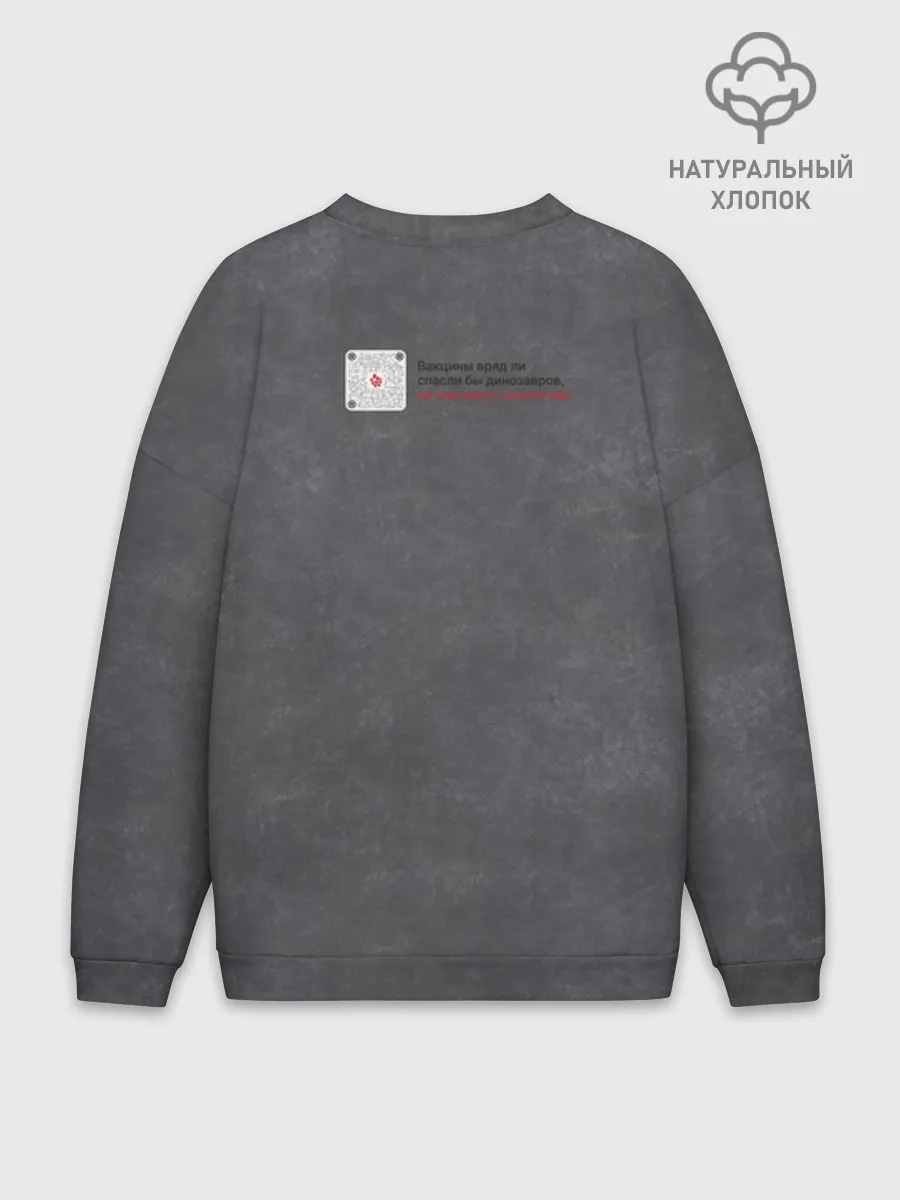 Мужской свитшот оверсайз хлопок / Динозавры_3D_русский