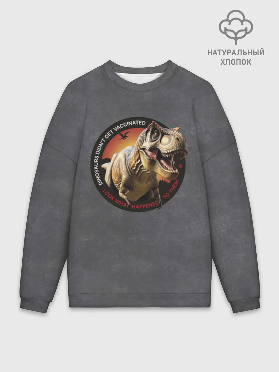 Мужской свитшот оверсайз хлопок / Динозавры не делали прививки 2 (английский)