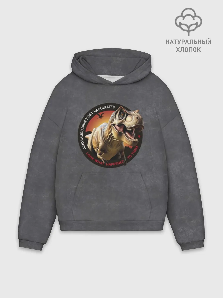 Худи мужской оверсайз хлопок / Динозавры не делали прививки 2 (английский)