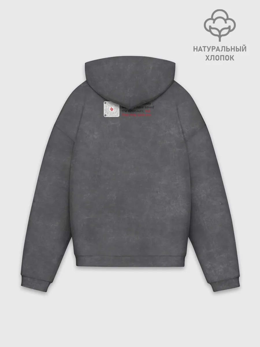 Худи мужской оверсайз хлопок / Динозавры не делали прививки 2 (английский)