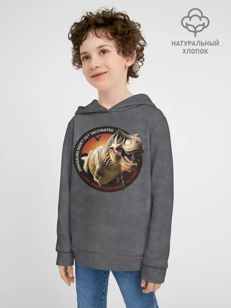 Детское худи хлопок / Динозавры не делали прививки 2 (английский)