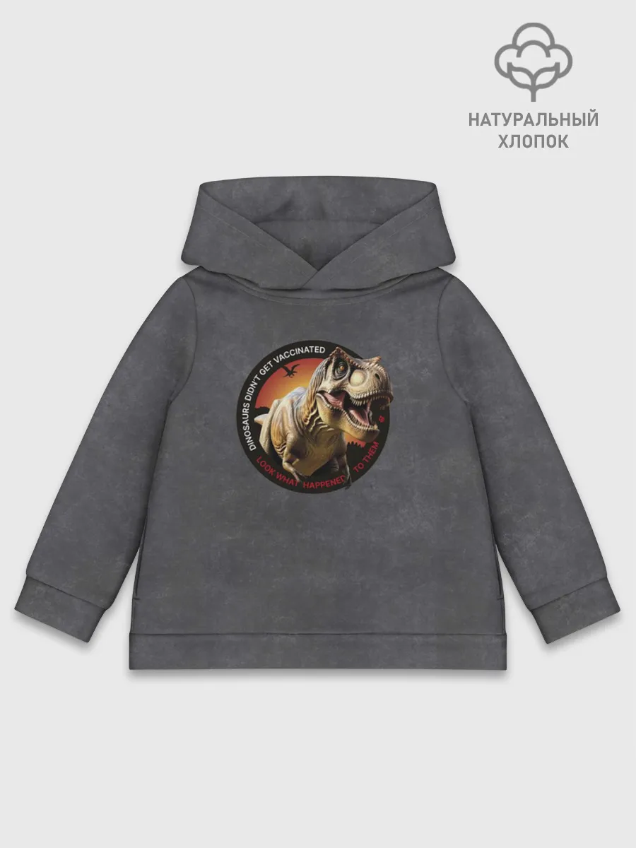 Детское худи хлопок / Динозавры не делали прививки 2 (английский)