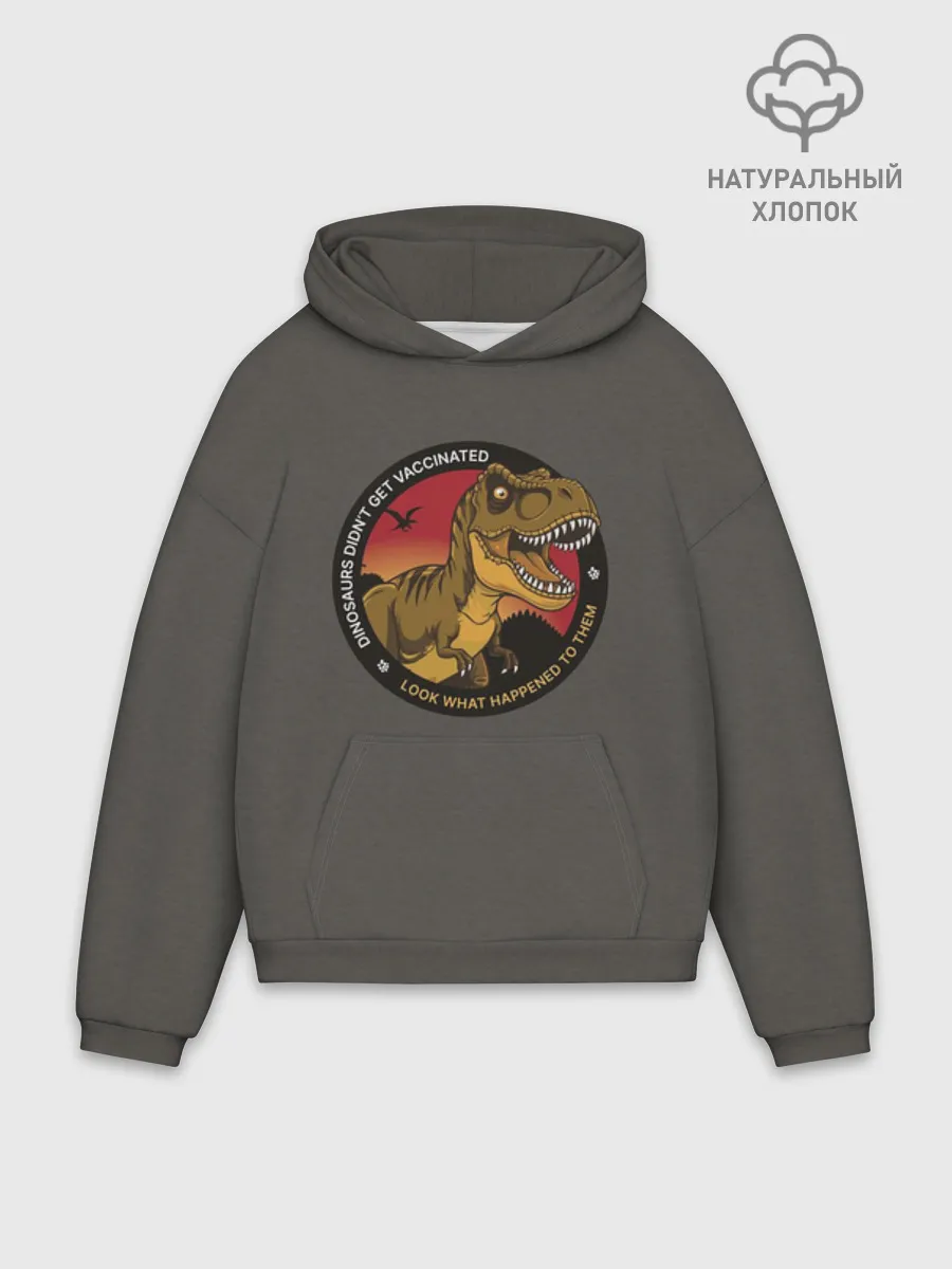 Худи мужской оверсайз хлопок / Динозавры_2D_английский