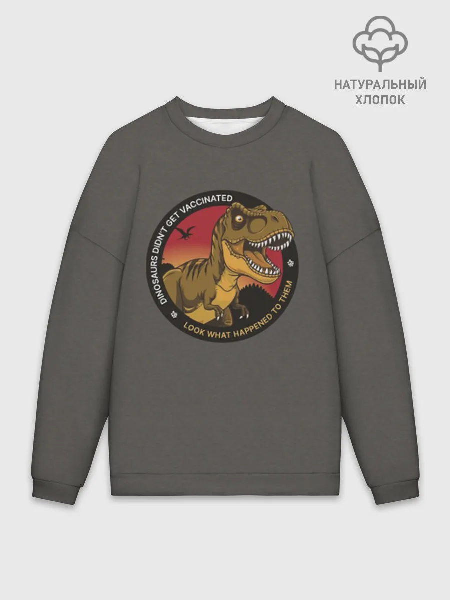 Мужской свитшот оверсайз хлопок / Динозавры_2D_английский