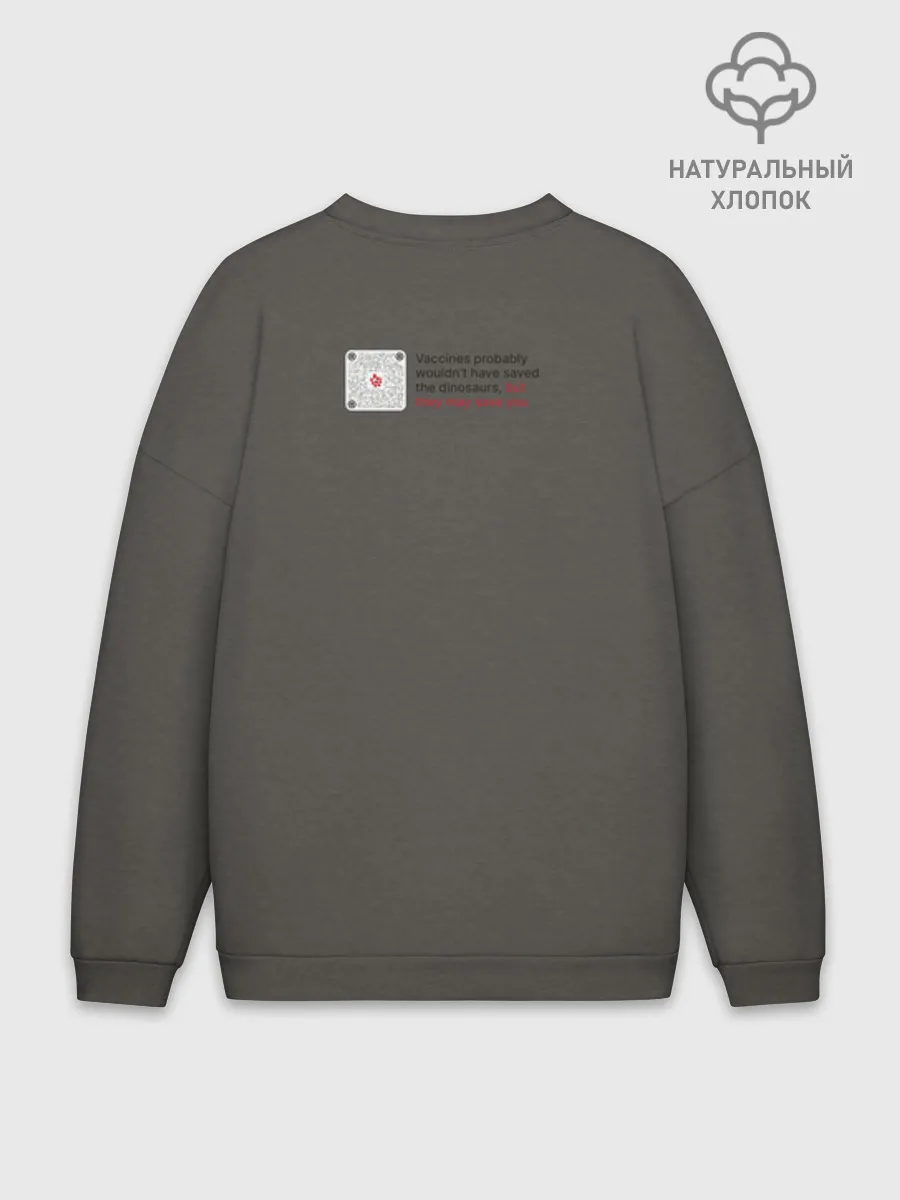 Мужской свитшот оверсайз хлопок / Динозавры_2D_английский