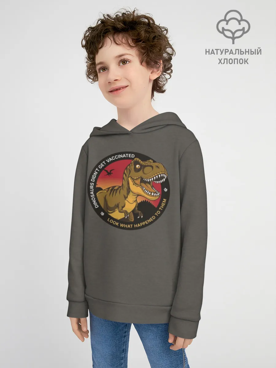 Детское худи хлопок / Динозавры_2D_английский