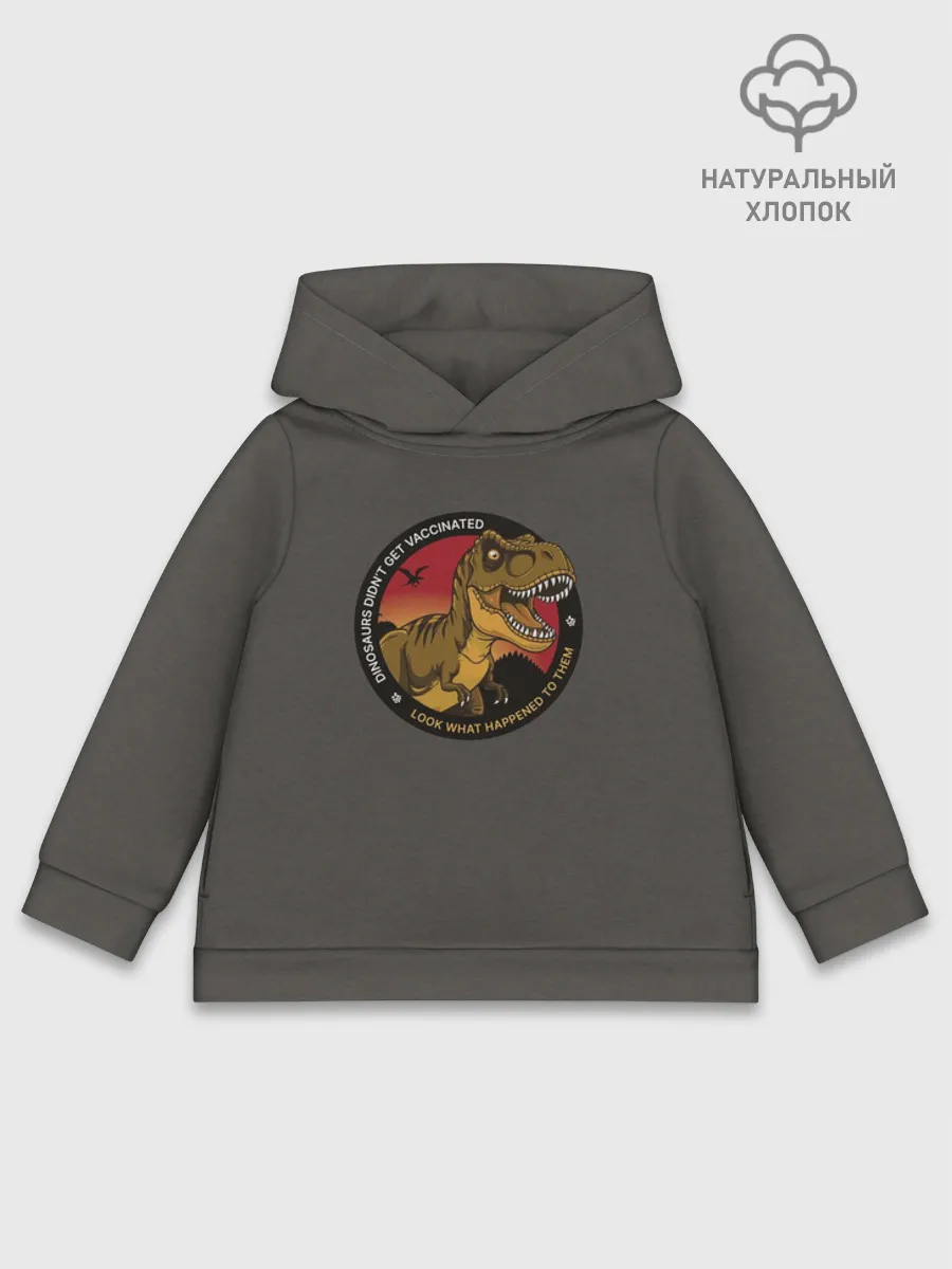 Детское худи хлопок / Динозавры_2D_английский