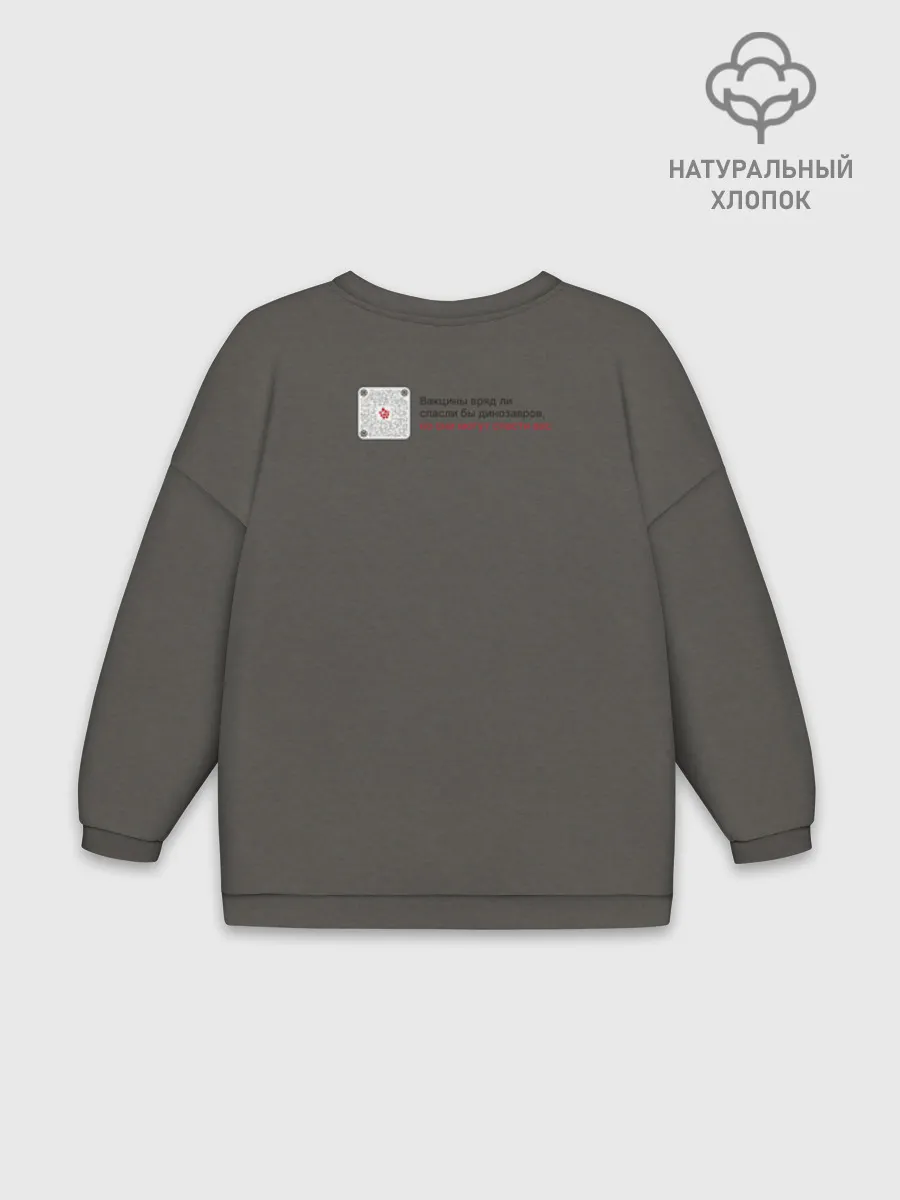 Женский свитшот оверсайз хлопок / Динозавры не делали прививки, 2д (на русском)