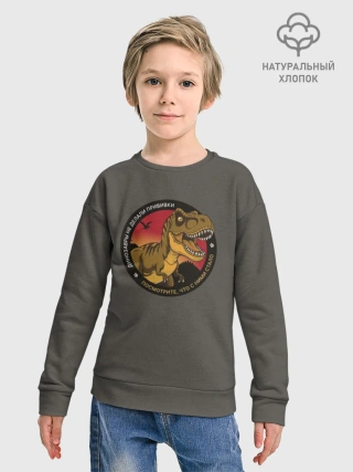 Детский свитшот хлопок / Динозавры не делали прививки 4 (русский)
