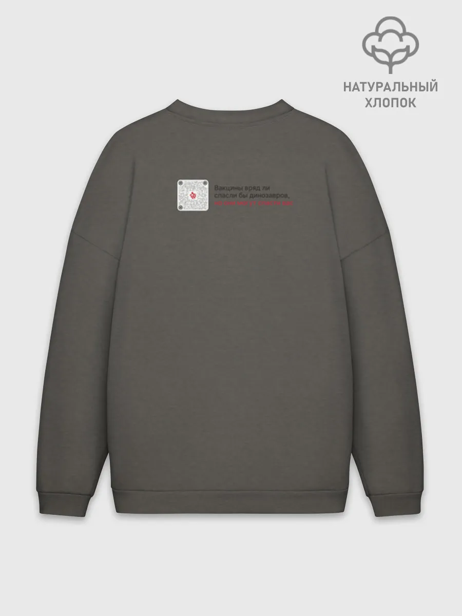 Мужской свитшот оверсайз хлопок / Динозавры не делали прививки 4 (русский)