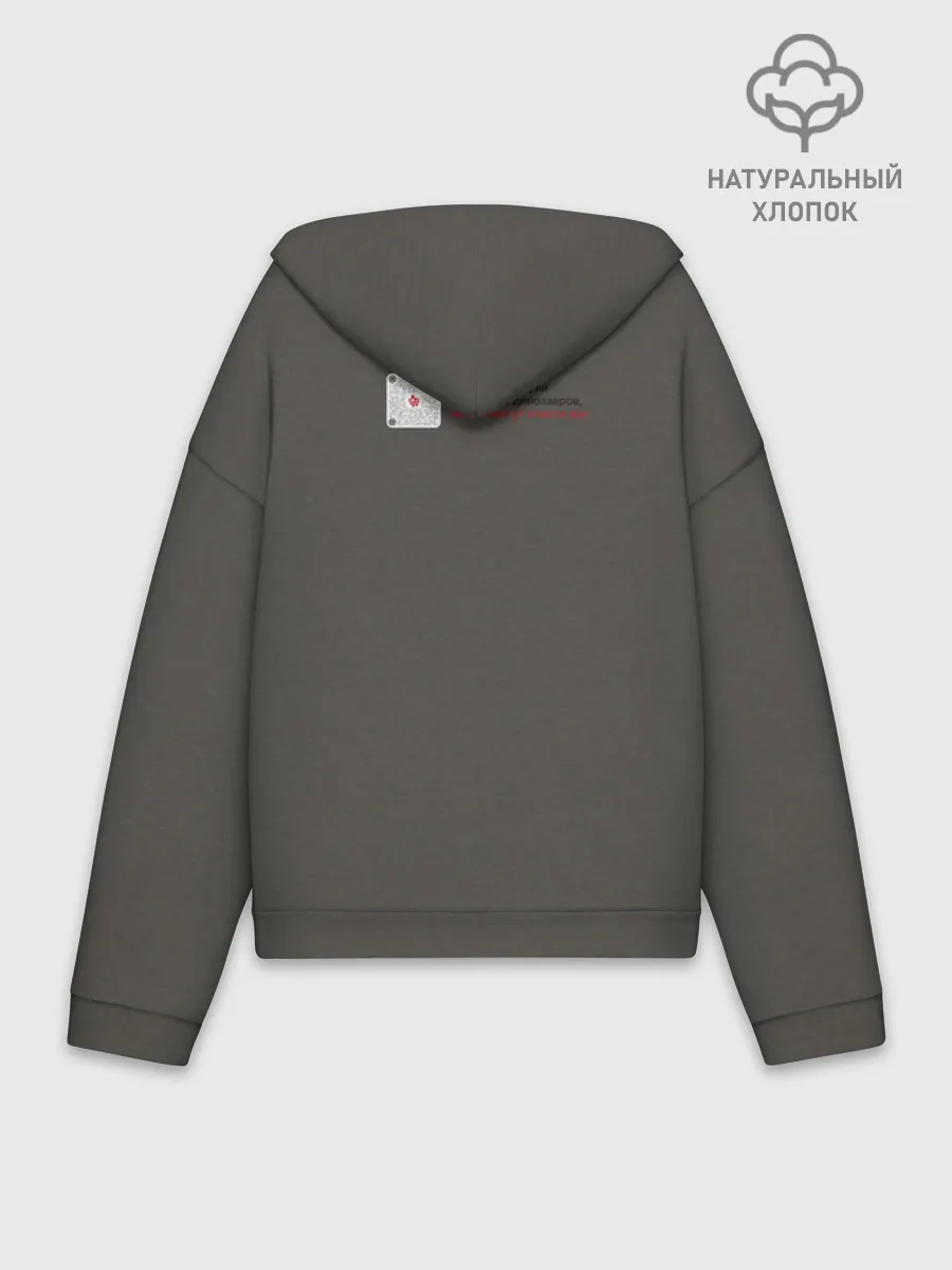 Худи женский оверсайз хлопок / Динозавры не делали прививки 4 (русский)