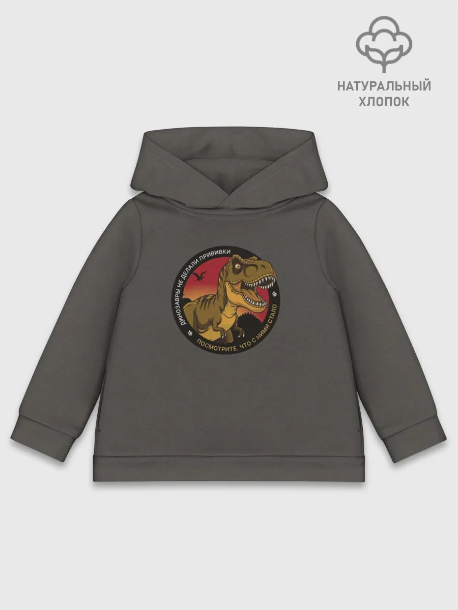 Детское худи хлопок / Динозавры не делали прививки 4 (русский)