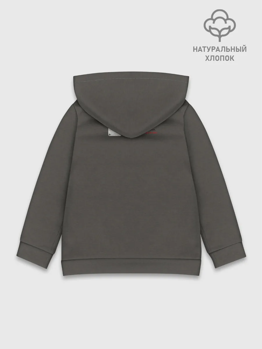 Детское худи хлопок / Динозавры не делали прививки 4 (русский)