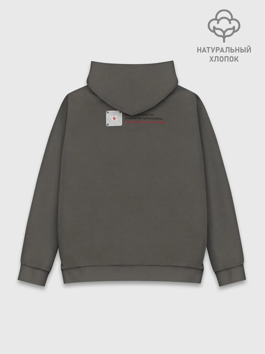 Худи мужской база хлопок / Динозавры не делали прививки 4 (русский)