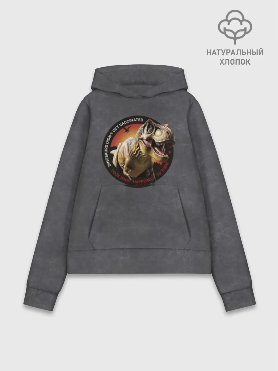Худи женский база хлопок / Динозавры не делали прививки 2 (английский)