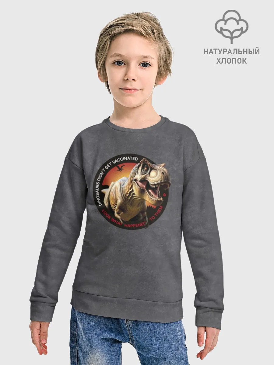 Детский свитшот хлопок / Динозавры не делали прививки 2 (английский)