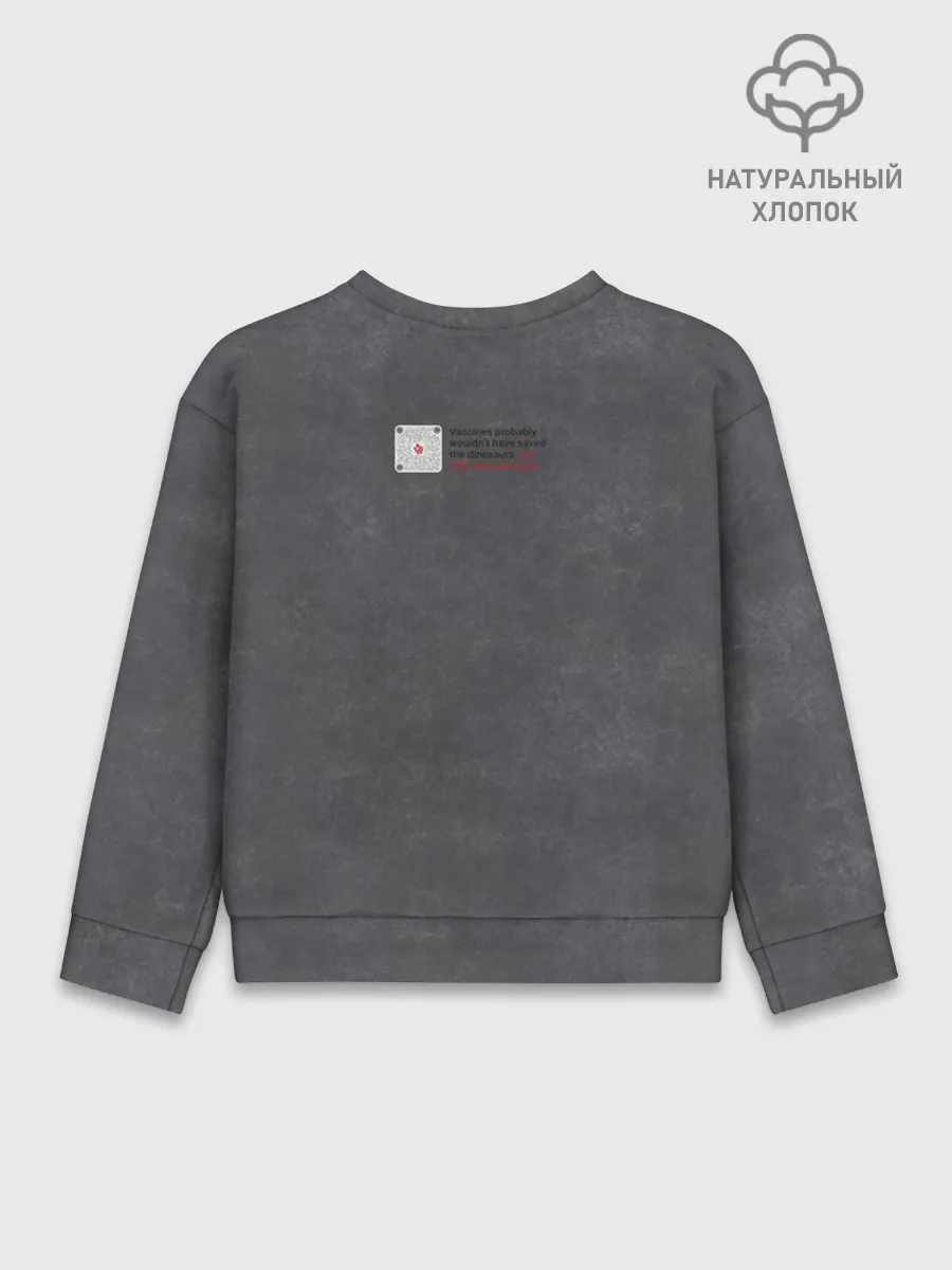Детский свитшот хлопок / Динозавры не делали прививки 2 (английский)