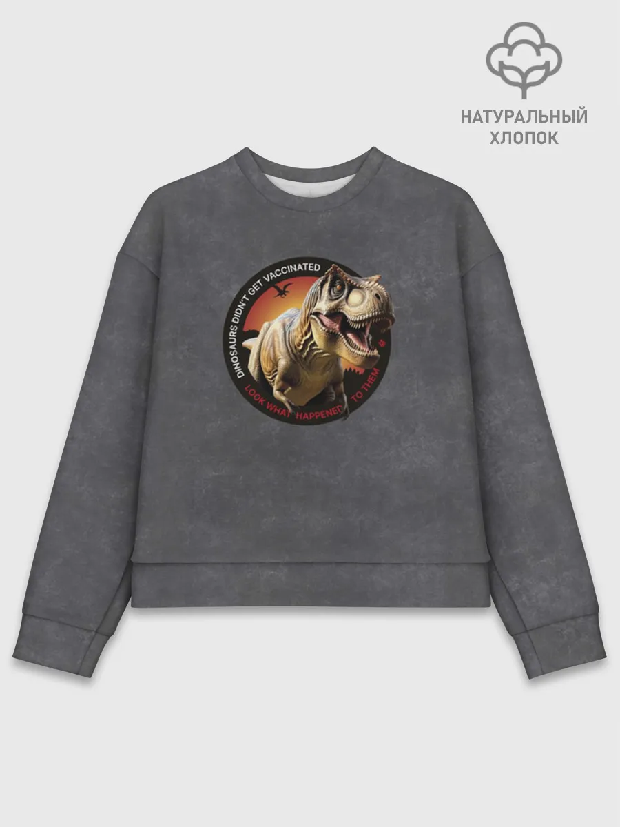 Женский свитшот базовый хлопок / Динозавры не делали прививки 2 (английский)