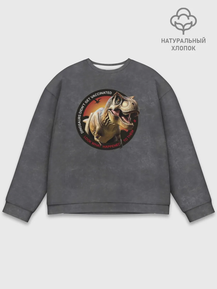Мужской свитшот база хлопок / Динозавры не делали прививки 2 (английский)